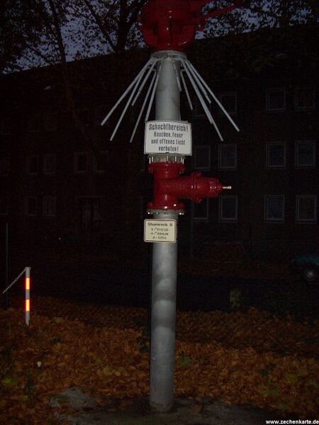 Datei:Shamrock 8.JPG