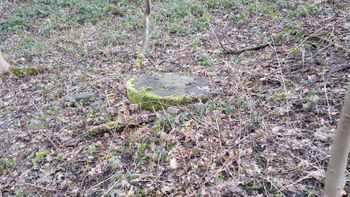 Schachtdeckel von Schacht Ulenberg der Zeche Deutschland in 2016. Vielen Dank an Matthias Lindloff.