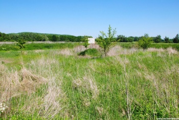 Position von Westfahlen Schacht 3 in 2010