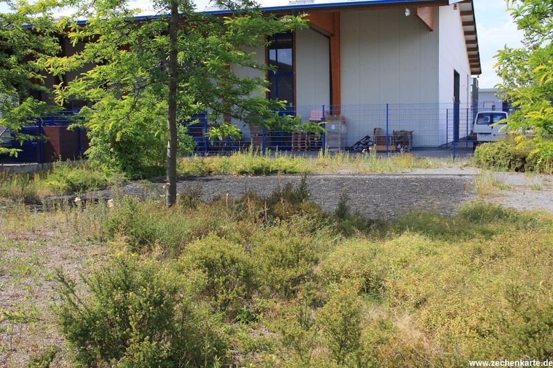 Datei:Koenigsborn 5 Schachtabdeckung 3.JPG