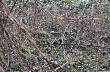 Schachtdeckel von Roland Wetterschacht in 2010