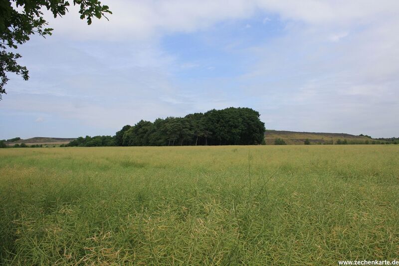 Datei:Lippe Halde Im Huerfeld in Dorsten.JPG