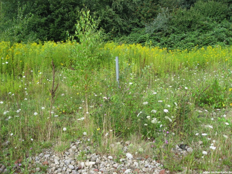 Datei:Emscher-Lippe 6 0808080063.JPG