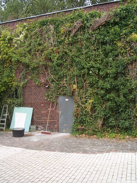 Datei:Bonifacius 4 1.JPG