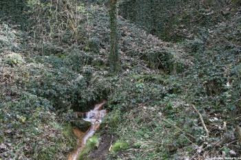 Stollenmundloch der Zeche Rudolf in 2008