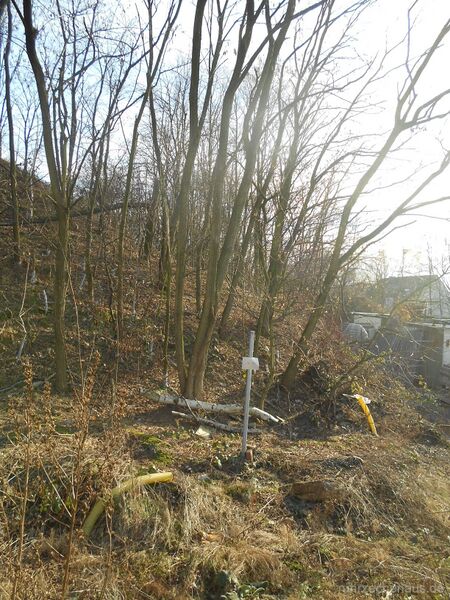 Datei:Prosper 3 03.jpg