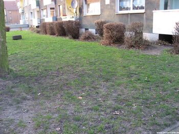 Position von Java Schacht 1 in 2008