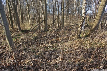 Position von Holthausen Schacht 1 in 2014