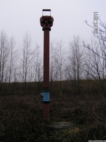 Datei:Amalia 1 110122 PICT0010.JPG