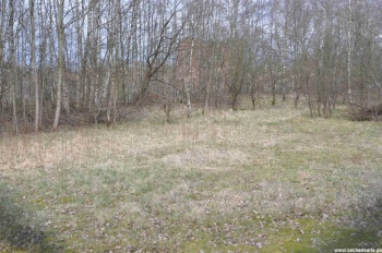 Position von Alte Haase Schacht 2 in 2011