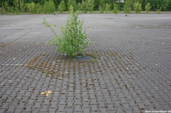 Schachtdeckel von Gottessegen Schacht 2 in 2013