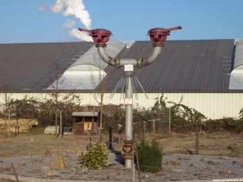 Protegohaube von Hugo Schacht 7 in 2008