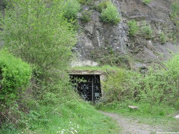 Stollenmundloch an der Südseite des Nachtigallstollens in 2010