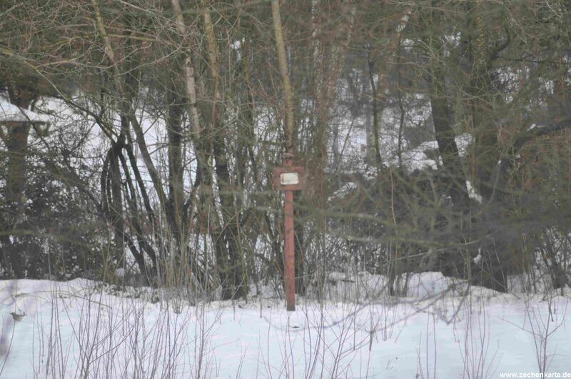 Datei:Bonifacius 5.JPG