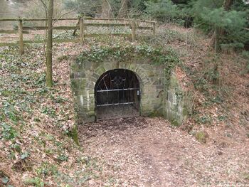 Stollenmundloch von Wald II in 2011