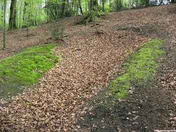 Verbrochener Stollenmund vom Stollen Scharpenseelsbänke in 2008