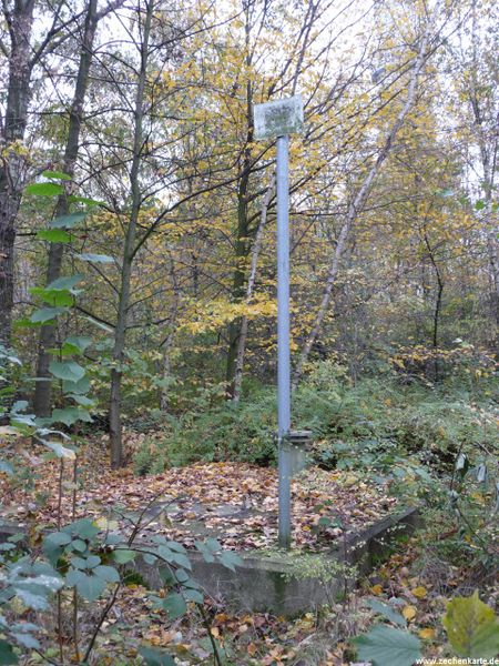 Datei:Shamrock 4.JPG