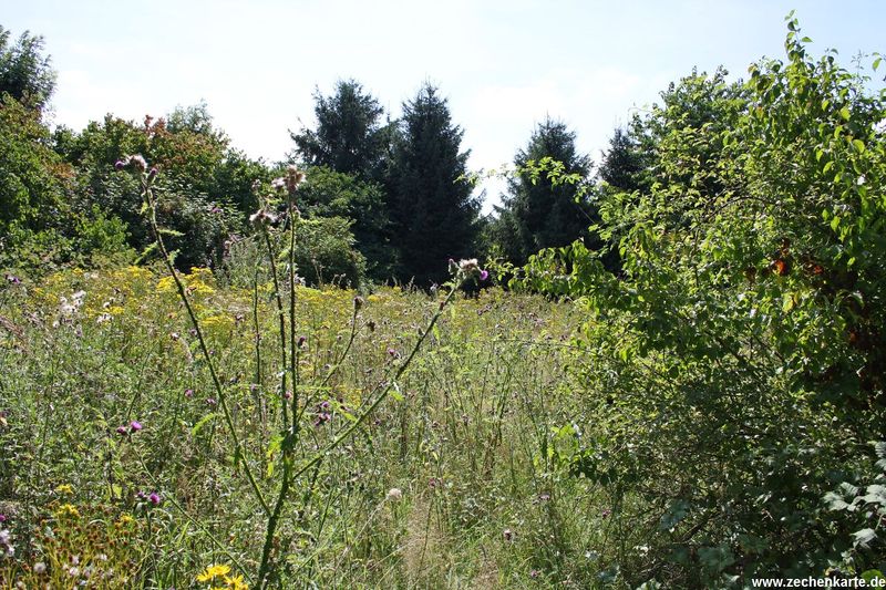 Datei:Westfalen 5 Duesseldorf ehem. Gelaende.JPG