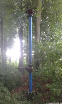 Protegohaube von Constanze Schacht 2 in 2015