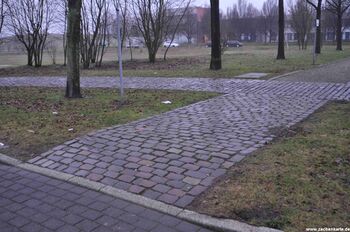 Position von Erin Schacht 2 in 2011