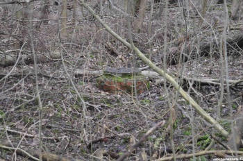 Schachtdeckel von Siebenplaneten Wetterschacht 2 in 2011