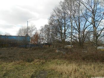 Position von Shamrock Schacht 7 in 2012
